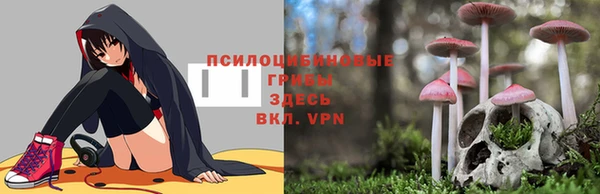 каннабис Арсеньев