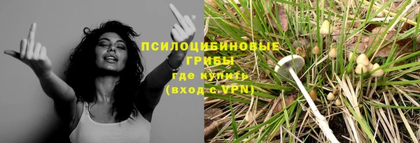 каннабис Арсеньев