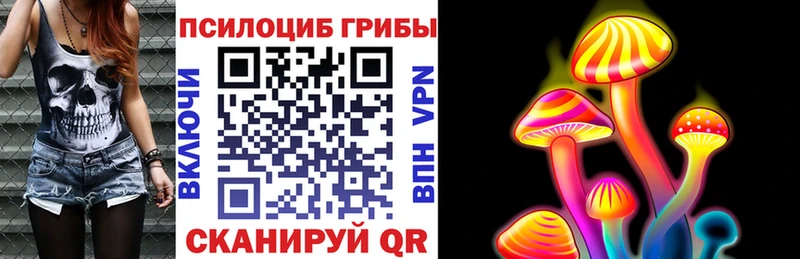 Псилоцибиновые грибы мухоморы  Купить  Суджа 